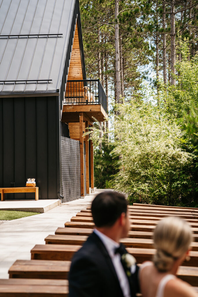 pinewood weddings and events